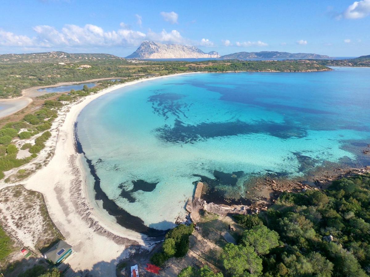 Iss Travel, Gli Asfodeli - Large Apartments With Private Terrace San Teodoro  Buitenkant foto