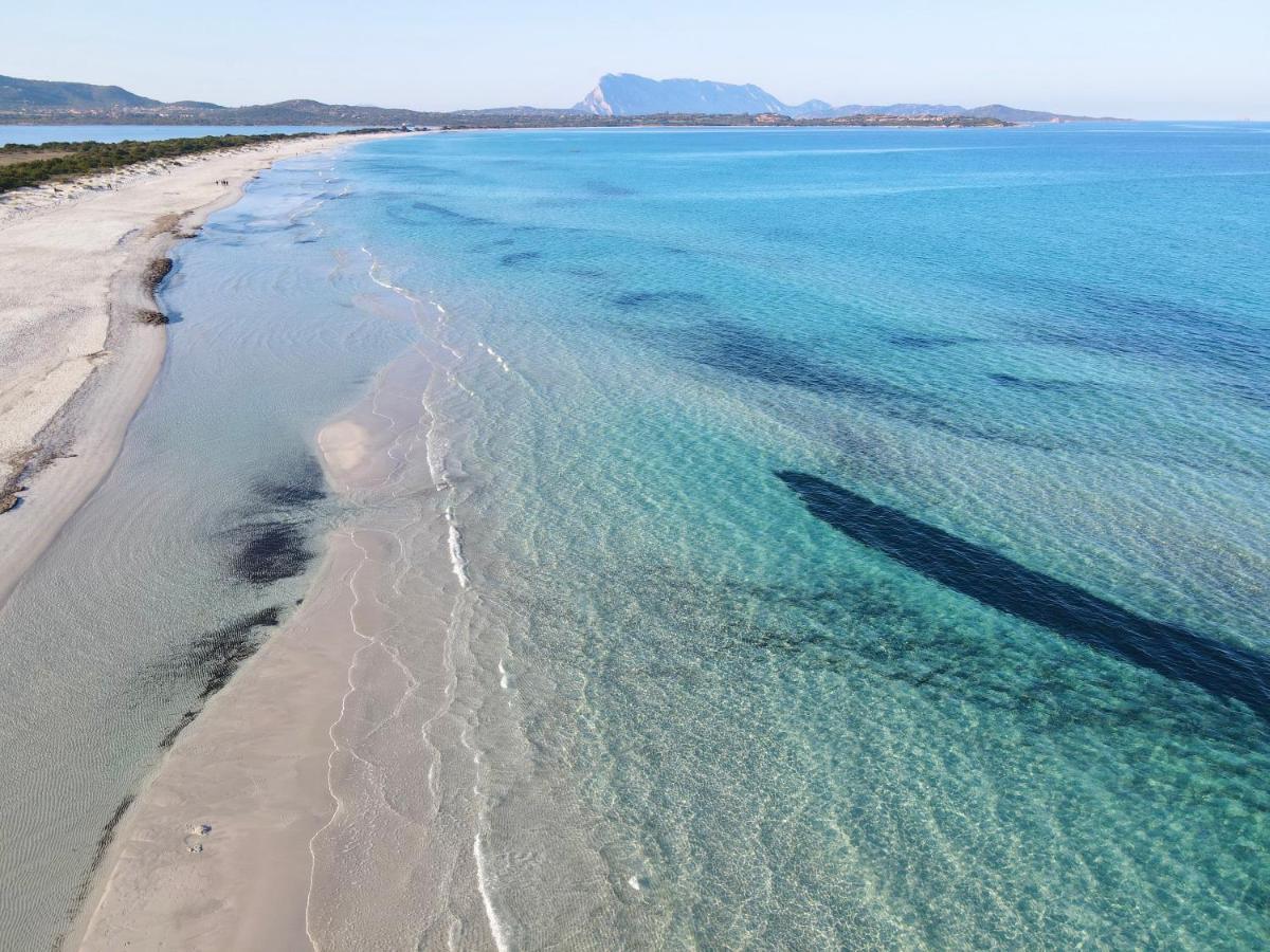 Iss Travel, Gli Asfodeli - Large Apartments With Private Terrace San Teodoro  Buitenkant foto